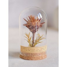 臺灣熱銷 復古植物標本永生花桌麵擺件嚮日葵玻璃罩微景觀裝飾花朵標本, 陽光花（小號）7cm*13cm