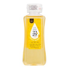 달콤달콤 꿀 사양벌꿀, 500g, 1개