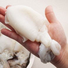 [맛있는정하네] 손질 갑오징어 특품 900g 냉동 손질 오징어 (1마리100~200g), 1개