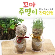 꼬마주영이잔디인형 DIY만들기 체험학습 토피어리재료, 1빨간주영이, 1개