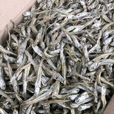 신건호멸치 안주/조림용 햇 고바멸치(가정용) / 안주멸치 볶음멸치, 1박스, 1.5KG