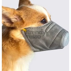 앤서룸 애견 마스크 중 3개입 강아지마스크, 중형