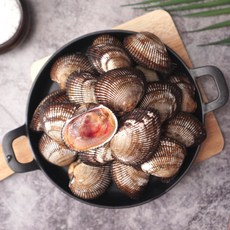 [당일조업] 국내산 활 피조개 피꼬막, 1개, 1kg