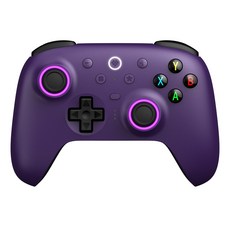 국내정발 8BitDo 얼티밋2 2.4G 컨트롤러 Ultimate 2 Wireless Controller, 퍼플