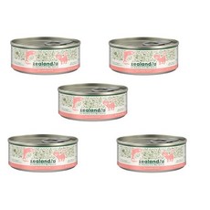 질란디아 고양이 주식캔 연어 파데, 90g, 5개