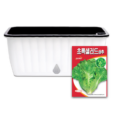 라운드오프 간단한 저면관수 텃밭화분 set, 텃밭화분+샐러드상추