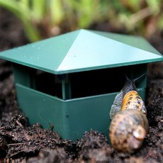 이모네 달팽이집 달팽이사육장, 1