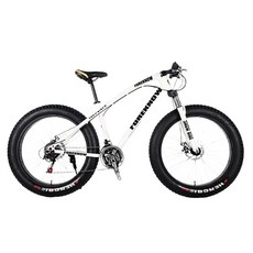 광폭 타이어 자전거 성인용 펫바이크 산악 MTB 바이크 입문용, 27단, 26인치, 골드(스포크 휠), 1개