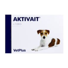 벳플러스 액티베이트 강아지(60캡슐), 60정, 어덜트, 1개