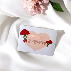 카네이션 기프트 카드 토퍼 스승의날 어린이집 유치원 선생님 카드 선물, 원장선생님감사합니다, 레드, 1개