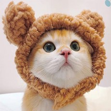 다팜몰 고양이 모자 고양이옷, 팬더