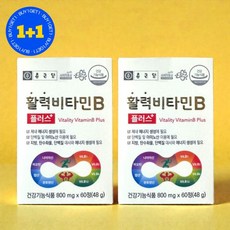 1+1 종근당 활력비타민B 플러스 영양제 60정 2개 591912