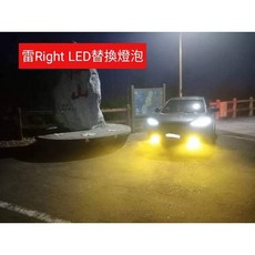 車之房 LEXUS 2023 RX LED霧燈 替換式 MIT 黃光 白光 新款車, 1個