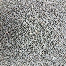 羅勒子 小紫蘇, 1個, 一斤/600g