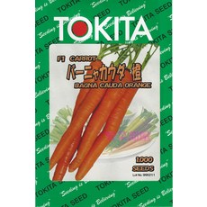 TOKITA F1 紅蘿蔔種子 B466 CAUDA ORANGE 1000 顆, 1包