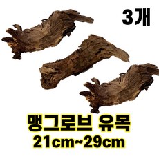 도롯 맹그로브 유목 어항 레이아웃 파충류 중 3개