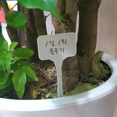 식집사 작물팻말 나무명찰 나무안내판, 없음