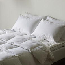 [바운티풀] 특급호텔침구 50x70 구스다운 1000g 베개x모달커버, 차콜그레이, 1세트