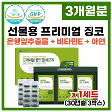 징코 비타민 선물 기억력 개선 대용량 징코 혈행 개선 징코 비타민 하루 한알 개별포장 징코플러스 비타민b 어머니 아버지 지인 부모님 선물 세트 징코 비타민, 1개, 90정