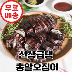 [당일발송] 국내산 통찜 오징어 미니오징어, 1개, 500g(6-10미)