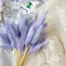 漸層繡球幻彩人魚光繡球 有錢花蛋糕材料 不凋花材 獨角獸 網美 玻璃花盅 花盒, 紫藍家族-兔尾草8枝