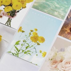 다꾸엽서 감성 컬러 엽서 모음 선샤인 드림 사진엽서 인테리어엽서 예쁜엽서 다꾸엽서 촬영소품, ☆▥상품선택★☆, 상세페이지 참조