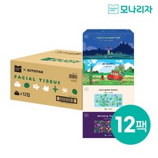 모나리자 천연펄프 착한 미용티슈 2겹 오티스타 디자인, 12개, 250매