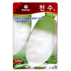 팜한농 천수무 2000립 조선무 김장 가을 무 무우 씨앗 팜한농 흥농, 1개