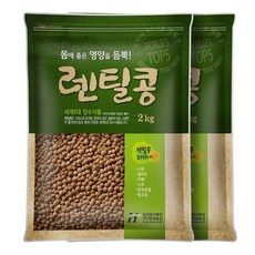 현대농산 갈색 렌틸콩 렌즈콩, 2개, 2kg