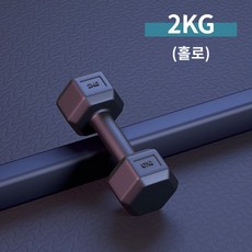 체어 접이식 홈짐 복근 백익스텐션 복근운동 코어 로망체어 블랙 접이식 홈 클래식, 총중량쌍 4kg(4kg*2마리) 블랙육각 에코 아령, 기타