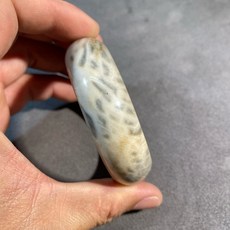 沈柯久寂 木化手鐲, 1個
