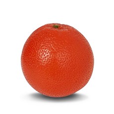 BUZZ 리얼사이즈 자몽 과일쉐이커 BU-GP, 1개