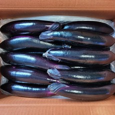 국내산 가지 최상품, 15개, (2.5kg내외)