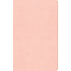 (영문도서) CSB Thinline Bible Blush Suedesoft Leathertouch Imitation Leather, Holman Bibles, English, 9798384501763