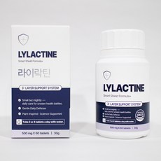 라이락틴 L 라이신 염산염 유산균 프락토올리고당 500mg X 60정, 1개, 30g