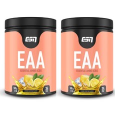 ESN 이에스엔 독일 EAA 아미노산 BCAA 레몬 아이스티 500g 2팩