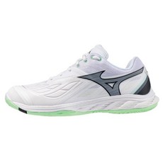 Mizuno 美津濃 WAVE FANG 2 男款 羽球鞋 71GA231335