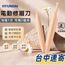 HYUNDAI 電動修眉刀 | 充電1次 可用2個月 智能防刮傷 雙刀頭設計 全身可水洗, 1個, HYUNDAI多功能電動修眉刀, 粉色