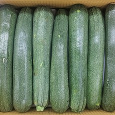 영희상점 국내산 특품 쥬키니호박, 15개