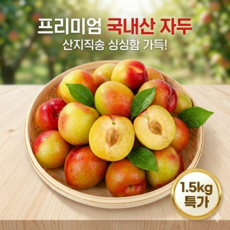 [첫출하] 경북 김천 새콤달콤 햇자두 대석 후무사 추희 자두 1.5kg 3kg (7월6일부터 순차출고), 1개, 후무사자두 3kg 특 100g내외