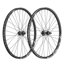 DT Swiss FR 1950 CLASSIC 30 29/ 輪組, 150 mm