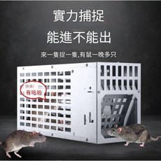 空城計 活門式長效連續性捕鼠器，安全環保捕鼠籠，適用居家餐廳倉庫, 1個