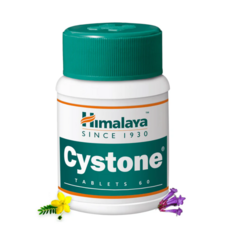 히말라야 사이스톤, 1개, 60정