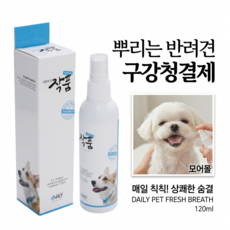 모어몰 반려동물 구강스프레이 강아지 고양이 입냄새 제거 구취 치석관리 구강청결 스프레이, 2개, 120ml