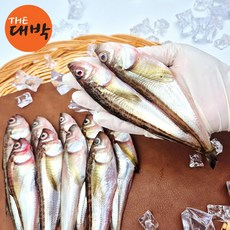 제철 도루묵 묵호항 도루묵, 1개, 급냉 도루묵 500g