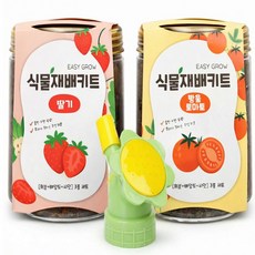 두루살림 식물 키우기 3종세트 [딸기재배키트+토마토재배키트 +미니페트병물조리개] 식물키우기세트