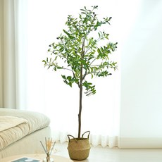 아르띠콜로 조화 올리브 나무+해초 바구니 세트, 150cm, 1개, 150cm