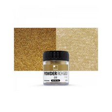 [코리아스퀘어] 신한 전문가용 메탈릭파우더 20g 리치골드
