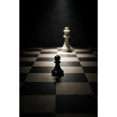 (영문도서)Power Without Power: How the Weak Win in a Rigged World Paperback, Independently Published, English, 9798243605045