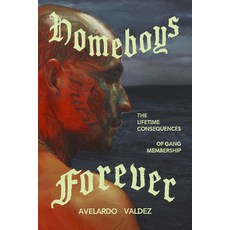 (영문도서)Homeboys Forever: The Lifetime Consequences of Gang Membership Paperback, University of Chicago Press, English, 9780226848396